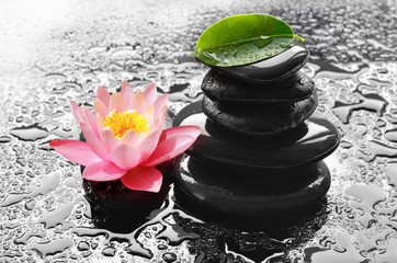 Water drops on black spa stones with Lily flower