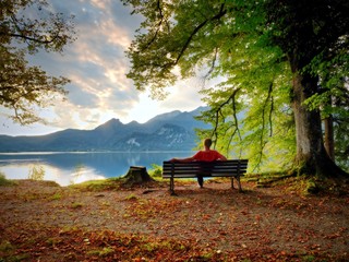 Man sit on wooden bench at mountain lake. Bank under beeches tree