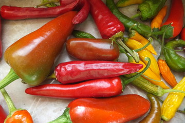 gemischte bunte Pepperoni-Neuernte-CHILIS