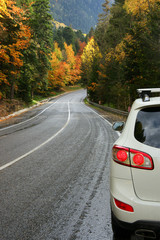 Obraz na płótnie Canvas Autumn road