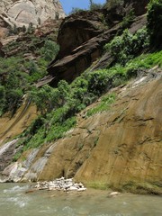 Trail to the narrows, Zion National Park, USA
