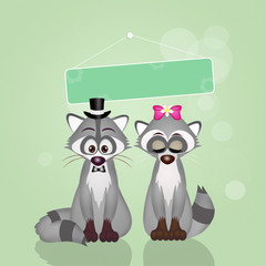 raccoons in love © adrenalinapura