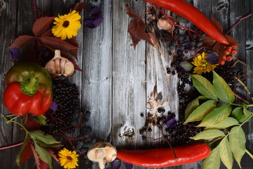 Autumn harvest of fruits and grapes and colored leaves and fall colors on the old gray vintage wooden background