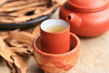 Ganoderma lucidum hot tea