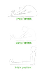 exercise for a healthy body and a beautiful posture. vector illustration.