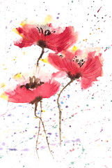 Obraz na płótnie Canvas Red poppy flowers, watercolor painting