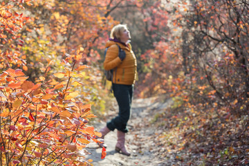 Girl watching up on Weekend Walk in autumnal Forest