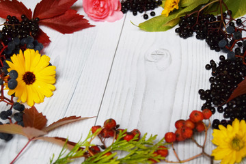 Autumn harvest of fruits on wooden plate, and colored leaves and fall colors on a light wooden background