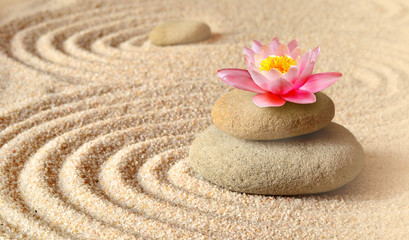 Fototapeta na wymiar Sand, flower lily and spa stones in zen garden