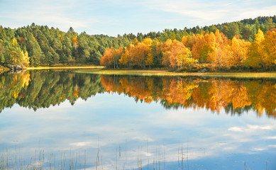 A colorful view of the forest in autumn
