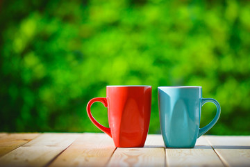 red and sky blue coffee cup with green natural background