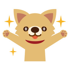 目を輝かせて喜ぶ犬