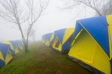 Camping tents in the fog at mountain