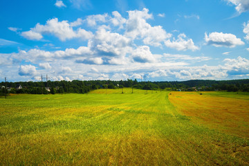Fototapeta na wymiar Rural summer landscape. Sunny day in the countryside. Field of green grass and blue sky with cumulus clouds.
