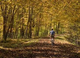 Obraz premium Senior adult man cycles on leaf covered trail