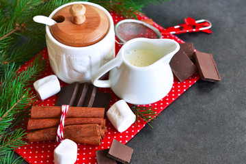Ingredients for hot chocolate for the new year 