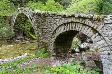 Fototapeta na wymiar Traditional stone bridge in Thessalia, Greece