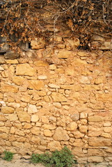 stone texture of old wall