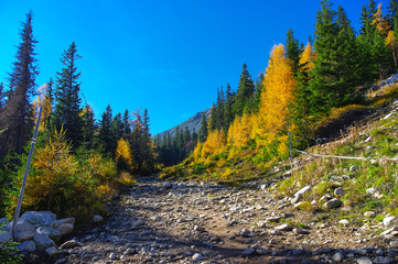 Fototapeta na wymiar Panorama mountain autumn landscape