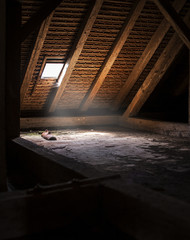 In the attic