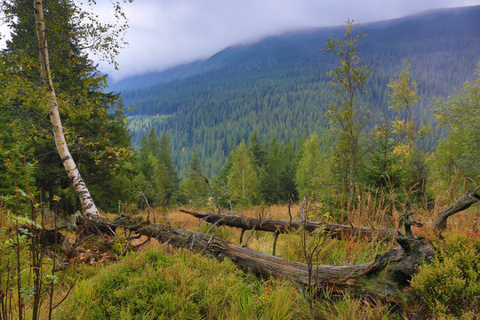 Fototapeta Autumn in mountains