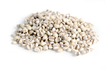 Millet rice bean, millet grains isolated on white