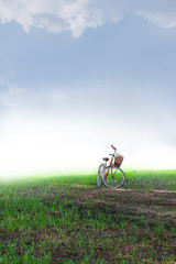 Obraz premium bicycle on green grass under blue sky