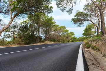 Landstra&szlig;e auf Ibiza bei Carla de Hort