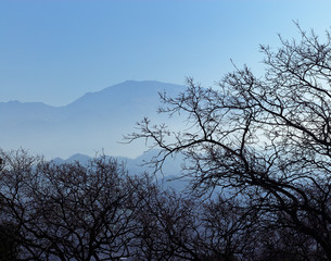 Fototapeta na wymiar Mt. Diablo from Acalanes Open Space, Lafayette, California