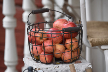Harvest time, fresh apples