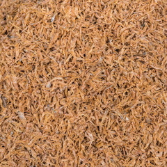 Dried fish in the market