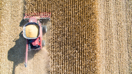 Agricultural Harvesting Corn with a Combine