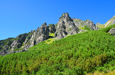 Mountain landscape in Western Carpathians. Mlynicka Valley in Vysoke Tatry (High Tatras), Slovakia