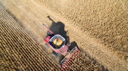 Agricultural Harvesting Corn with a Combine