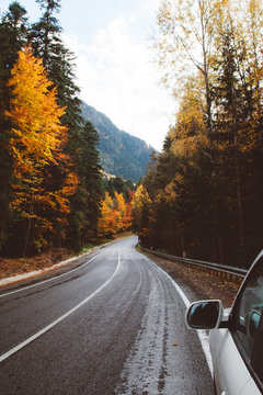 Fototapeta Autumn road