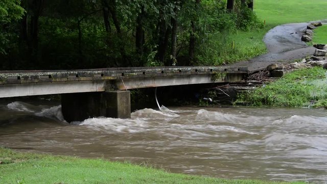 Tilt Beargrass Creek Flood, Small Bridge.