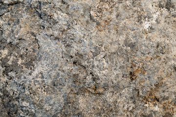 Detail of stone texture background.
