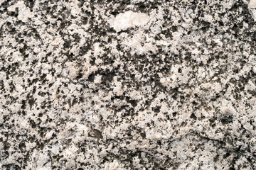 Detail of stone texture background.