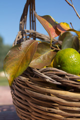 Cesta d'autunno