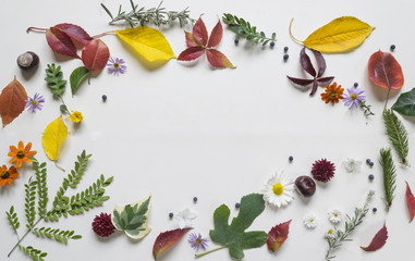 Fototapeta na wymiar Creative arrangment made of autumn leaves.