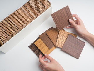 samples of veneer wood  is isolated on  white background