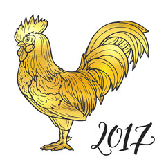 Stylized golden rooster hand drawn in lines isolated on white background. 2017 symbol. Vector illustration. Can be used for website background, greeting cards, calendar, printing © irenemuse