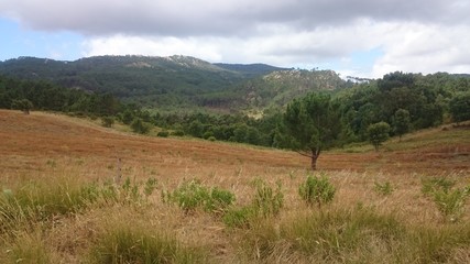 Fototapeta na wymiar Portugal Sintra Fields
