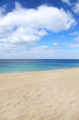 Fototapeta na wymiar Sommer auf Fuerteventura