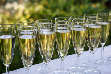 Row of glasses with champagne poured. Festive build alcohol. Champagne to the many guests at the party.
