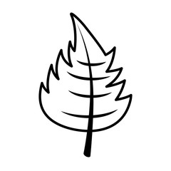 leaf autumn isolated icon vector illustration design