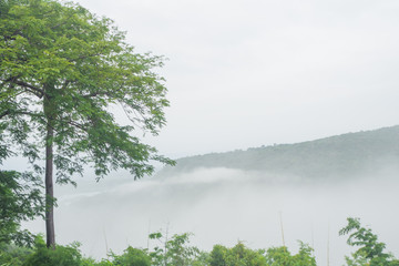 Obraz premium Nature of fog sea