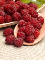 Juicy ripe raspberry