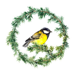 New year wreath - spruce and tit bird. Watercolor 