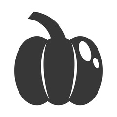 Thanksgiving pumpkin isolated icon vector illustration design